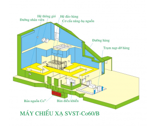 CÆ¡ sá»Ÿ chiáº¿u xáº¡ sá»­ dá»¥ng Co-60